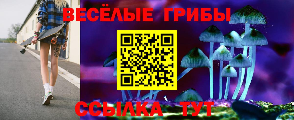 Псилоцибиновые грибы Psilocybine cubensis Новочебоксарск